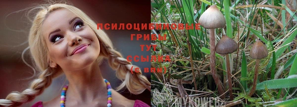 амфетамин Пересвет