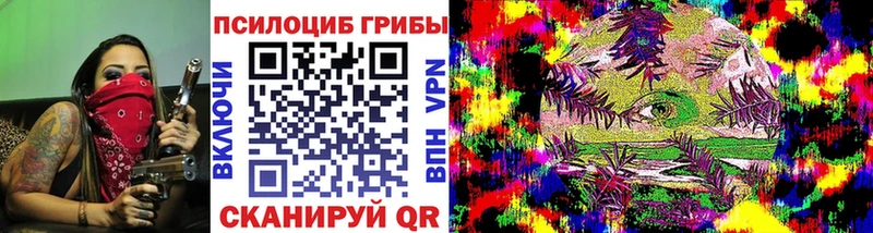 Купить  Салаир  Псилоцибиновые грибы прущие грибы 